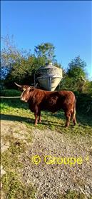 photo non disponible